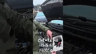 Thumbnail: There was WHAT living in this car?!