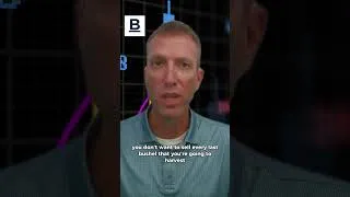 Thumbnail: WHEAT HAS ENTERED THE CHAT👀 | Blue Line Basics