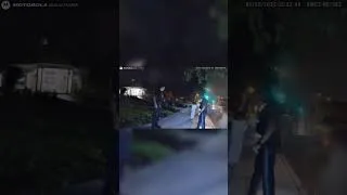 Thumbnail: Field Sobriety Test on Young Girl
