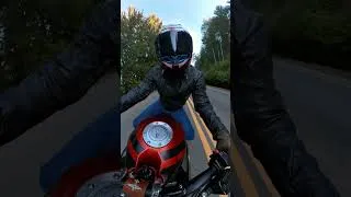 Thumbnail: Z900RS + MOTO GUZZI GRISO Filming Day! #z900rs #motorcycle #motoguzzi #gopro #video