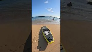 Thumbnail: Local sea monster spotted! 🐉