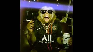 Thumbnail: PSG 2026 CHAMPIONS SONG - MUSIC VIDEO