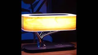 Thumbnail: Light of Life Final Product Video - Robert Prince