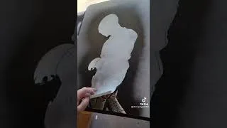 Thumbnail: Amazing.