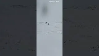 Thumbnail: Snow day ในวันหิมะตก