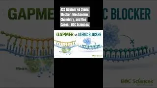 Thumbnail: ASO Gapmer vs Steric Blocker: Mechanism, Chemistry, and Use Cases - BOC Sciences #aso #gapmer