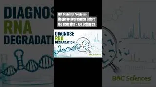 Thumbnail: RNA Stability Problems: Diagnose Degradation Before You Redesign - BOC Sciences #rnaprocessing