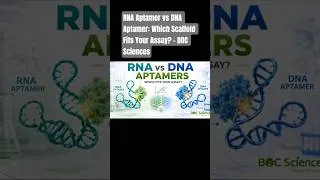 Thumbnail: RNA Aptamer vs DNA Aptamer: Which Scaffold Fits Your Assay? - BOC Sciences #aptamers #nucleicacid