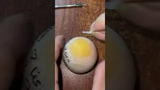 Thumbnail: #egg #satisfying #live