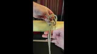 Thumbnail: The Most Popular Single Column Tie #Shorts