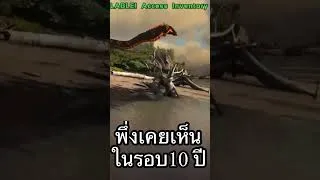 Thumbnail: งูยักษ์หรือมังกร?