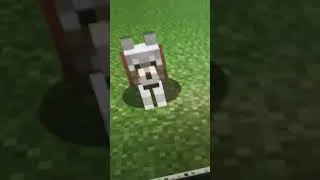 Thumbnail: dog - Minecraft #shorts