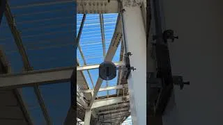 Thumbnail: Birds for the blind in Japan