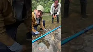 Thumbnail: Amazon Dorados in Ecuador . Salminus Affinis . Epic Flyfishing in the Amazon rainforest.