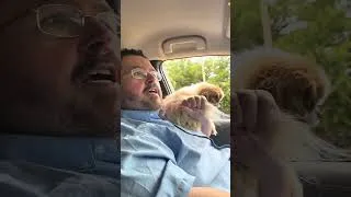 Thumbnail: Francis is a terrible pet owner. Cancel him immediately. You can’t hold your dog out the window.