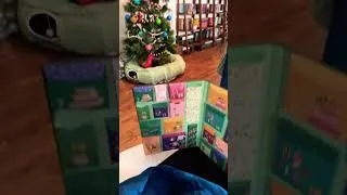 Thumbnail: Bookish Advent calendar days 14-21 🎅🎄