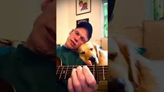 Thumbnail: Snispy’s lullabye #goldenretriever #guitar