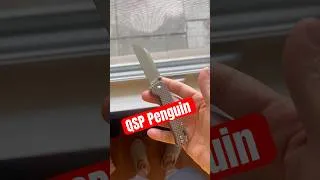 Thumbnail: QSP Penguin