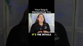 Thumbnail: Your Dog Is Manipulating Your