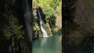 Thumbnail: Maui Adventures 🌴 |  Waterfalls along the Road to Hana #hawaii #waterfall #asmr