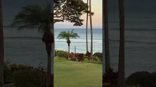 Thumbnail: Maui Adventures 🌴 |  Palmtrees and Waves #hawaii #waterfall #asmr