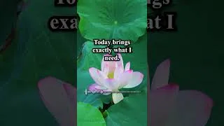 Thumbnail: Today Is Going To Surprise You | Positive Morning Affirmations | Miracles, Gratitude & Joy