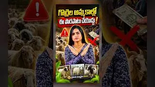 Thumbnail: గొర్రెలు అమ్మేటప్పుడు ఈ ట్రిక్ తెలిస్తే ఎక్కువ లాభం! #shorts #sheepfarming