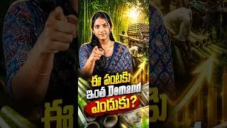 Thumbnail: రైతులు సీక్రెట్‌గా చేస్తున్న బాంబూ బిజినెస్! #shorts #farming