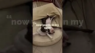 Thumbnail: You're in my spot!