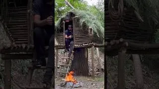 Thumbnail: bushcraft treehouse