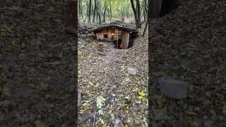 Thumbnail: dugout in the forest #survival #bushcraft #camping #shelter #survivalskills #bushcraftcamping