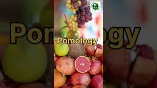 Thumbnail: 🍎 Pomology = Fruits aur unki cultivation ka study.BSc Botany | Horticulture | Botany Shorts📚