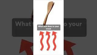Thumbnail: Never Put These in Your Dishwasher