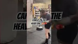 Thumbnail: CANELO BAG WORK #boxeo #boxing #canelo #caneloalvarez #heavybag #ko #tank #gervontadavis
