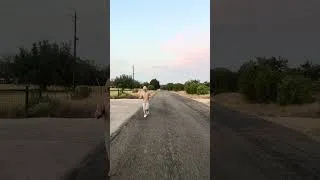 Thumbnail: TX Heat Camp with Max Jolliffe