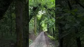 Thumbnail: Peaceful country road 100 miles from Russia in Georgia