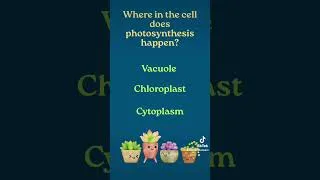 Thumbnail: 🔬Can you ZOOM into the Right Answers? 🧠 💥Take the microscopy Quiz now! 🧪📝#studytok #quiz #learn