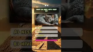 Thumbnail: Test Your Animal Knowlegde 🤔 #shorts