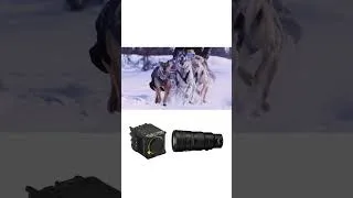 Thumbnail: The Arctic, but make it cinematic.  #nikonzr #redkomodo
