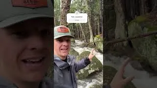 Thumbnail: We've been getting a little bit of rain