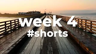 Thumbnail: 🐚 Best Copyright Free Music - Week 4 #shorts