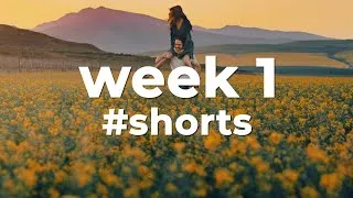Thumbnail: 🎶 Best Copyright Free Music - Week 1