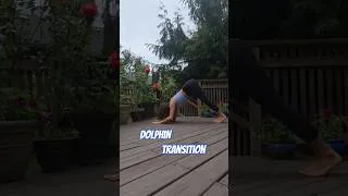 Thumbnail: dolphin transition #yogaflow #yogalove