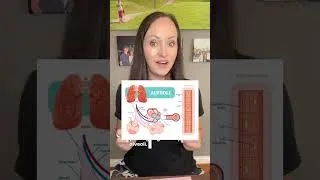 Thumbnail: How Do your Lungs work. Simple explanation by a Respiratory Therapist #lunghealth #lungs #pulmonary