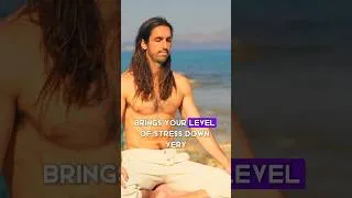 Thumbnail: Physiological Sigh with @hubermanlab #meditation #breathwork #stressrelief