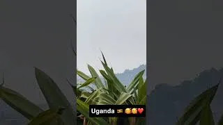 Thumbnail: Beautiful scenes of Uganda 🇺🇬 #uganda #scenery