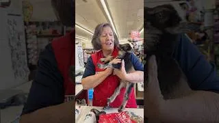 Thumbnail: I brought my baby goat to tractor supply