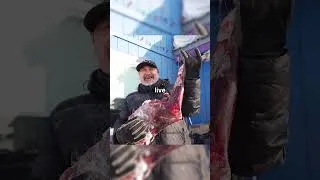 Thumbnail: Inside America's Coldest Town (-70F)
