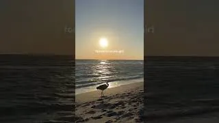 Thumbnail: your reminder you can go anywhere you want