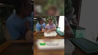 Thumbnail: Did We Just Hatch a World's First Snake?!